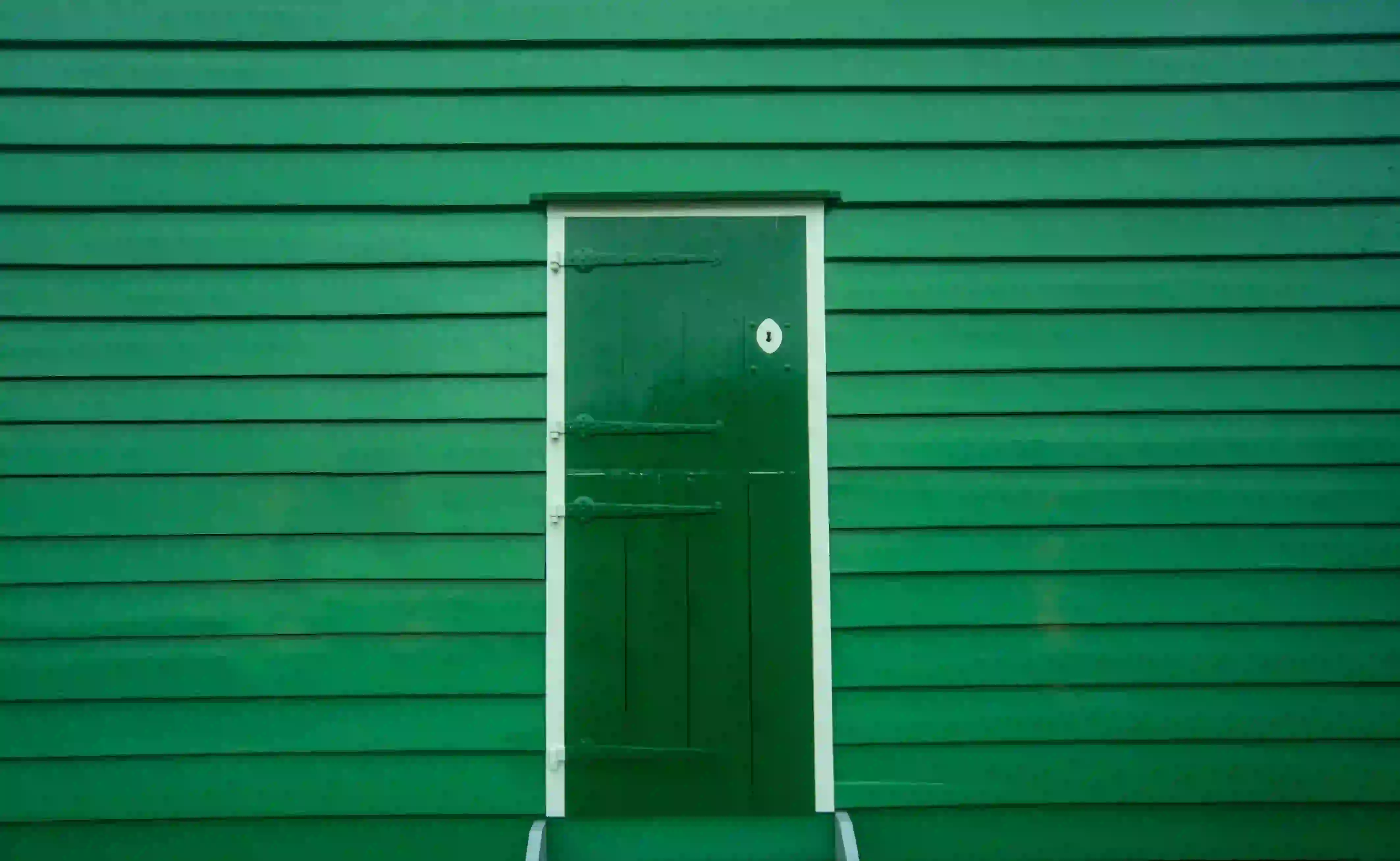 A vibrant photograph capturing a deep green stable-style door with dark metal hinges, centered against a wall of bright green horizontal wooden siding, discovered during a 'color walk